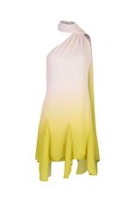 77.Ari-Mini-Dress-Golden-Milk1.2_2048x2048 MINI DRESS ARI BC - Image 1